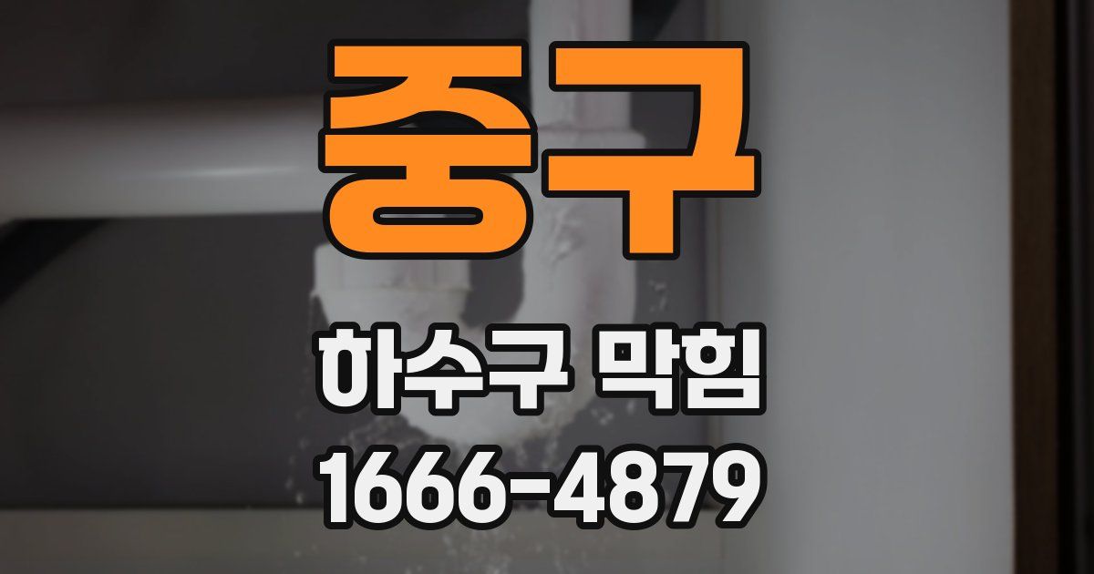 중구 하수구 막힘