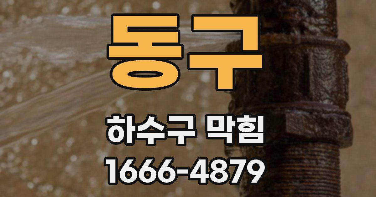 동구 하수구 막힘