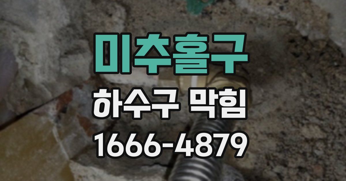 미추홀구 하수구 막힘