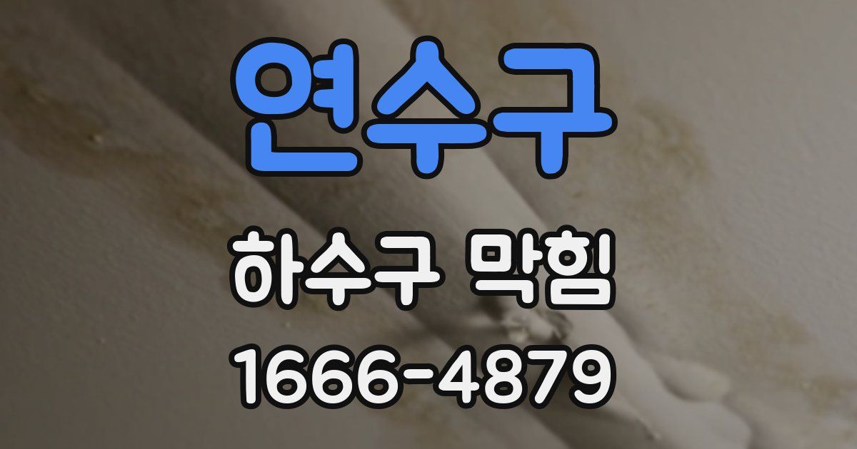연수구 하수구 막힘