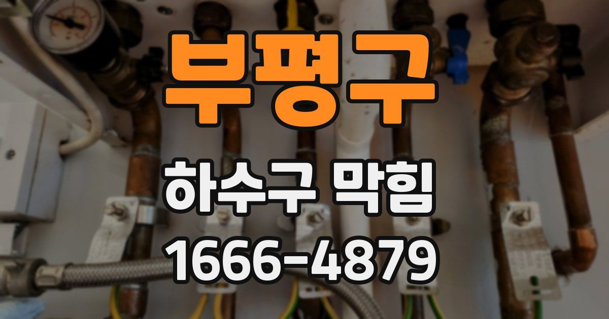 부평구 하수구 막힘