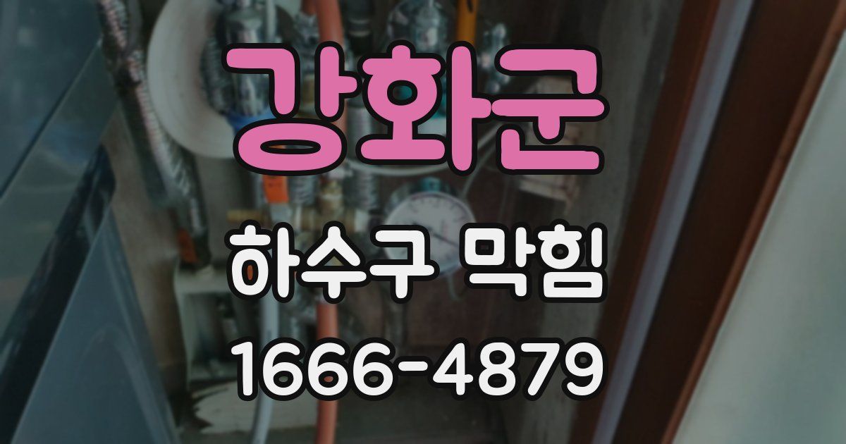 강화군 하수구 막힘