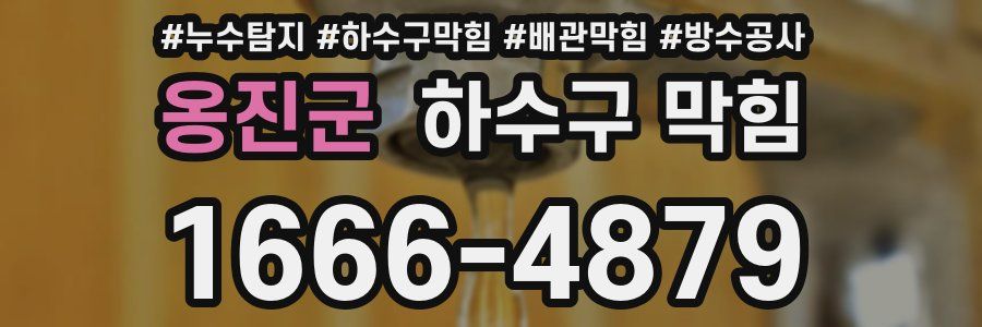 옹진군 하수구 막힘