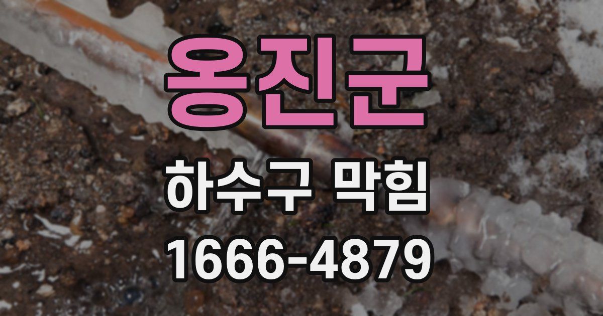 옹진군 하수구 막힘