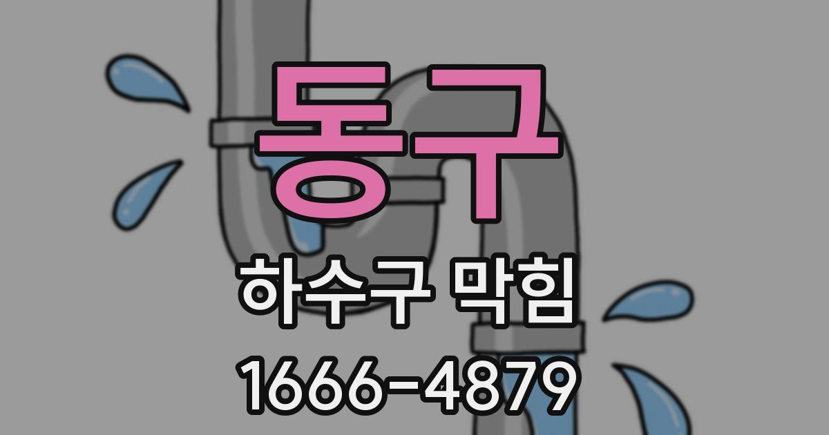 동구 하수구 막힘