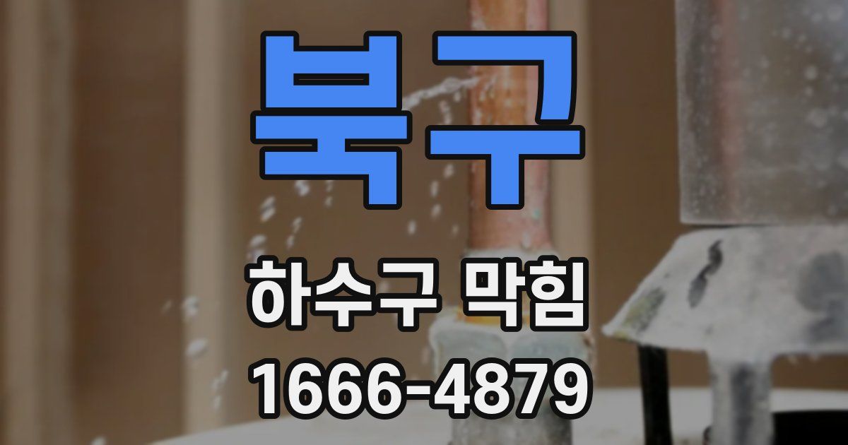 북구 하수구 막힘