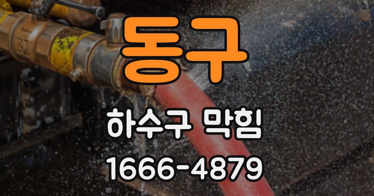 동구 하수구 막힘