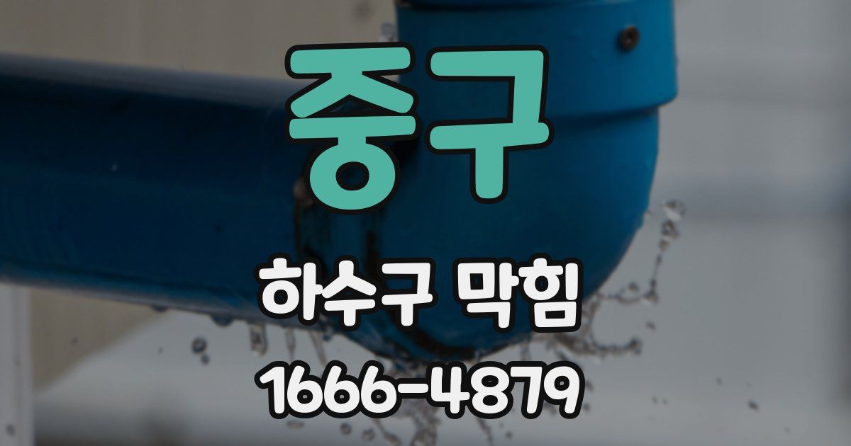 중구 하수구 막힘