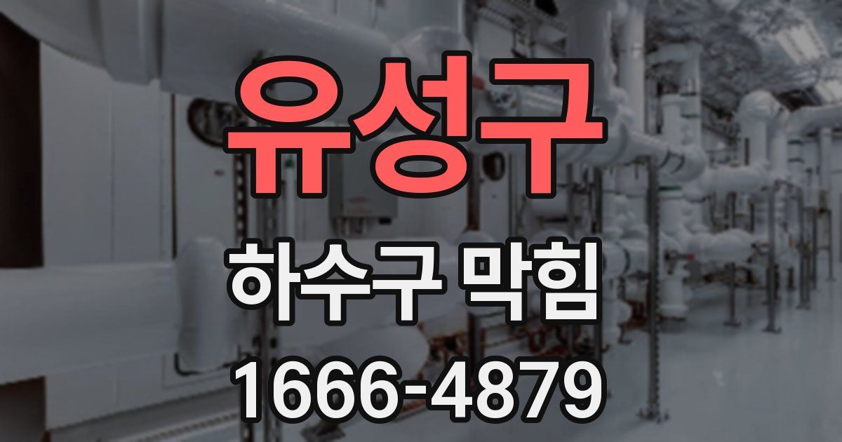 유성구 하수구 막힘