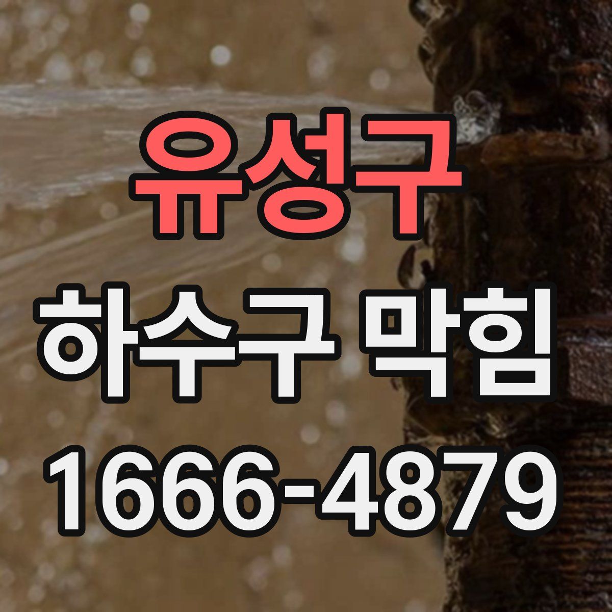 유성구 하수구 막힘