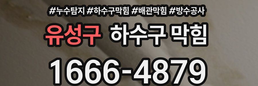 유성구 하수구 막힘