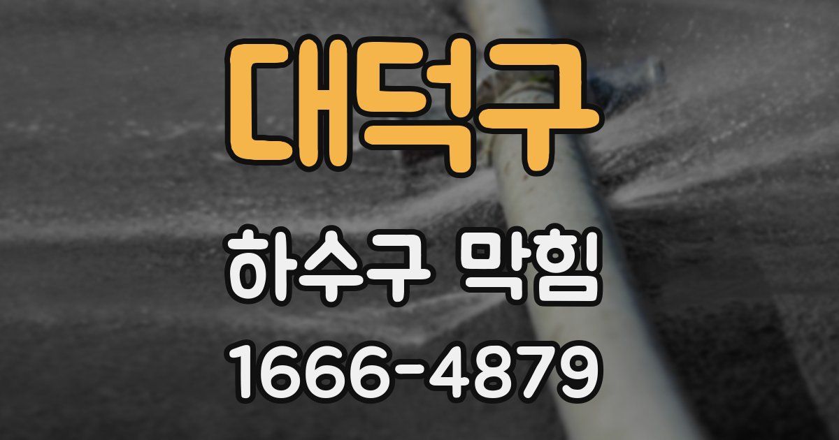 대덕구 하수구 막힘