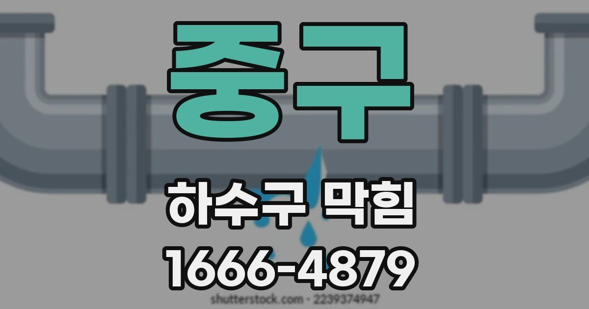 중구 하수구 막힘