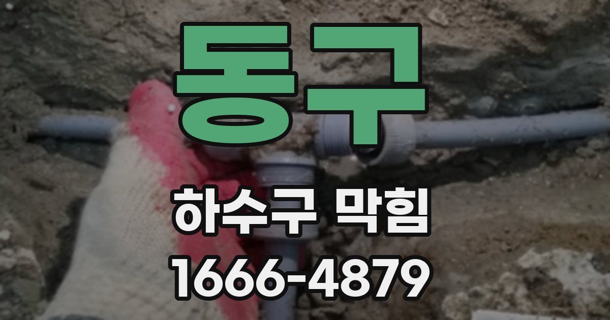 동구 하수구 막힘