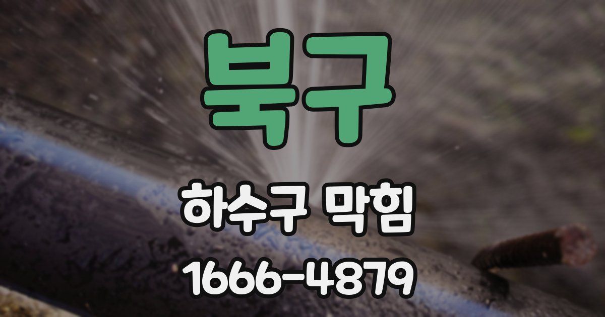 북구 하수구 막힘