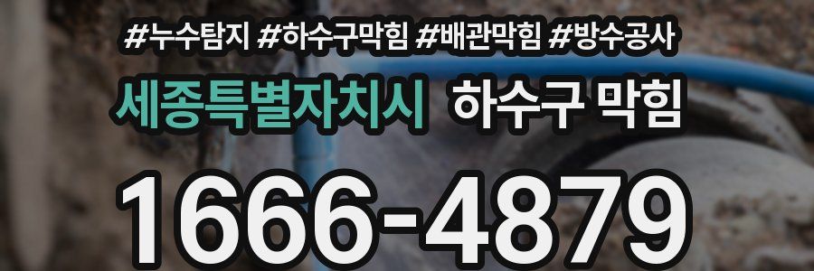 세종특별자치시 하수구 막힘