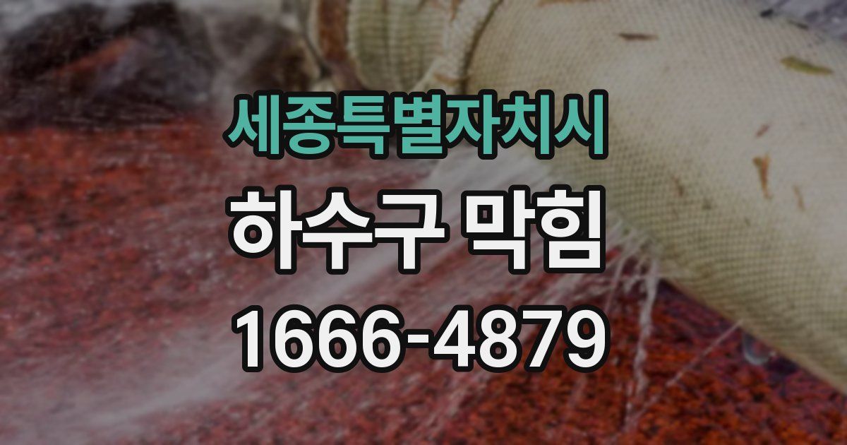 세종특별자치시 하수구 막힘