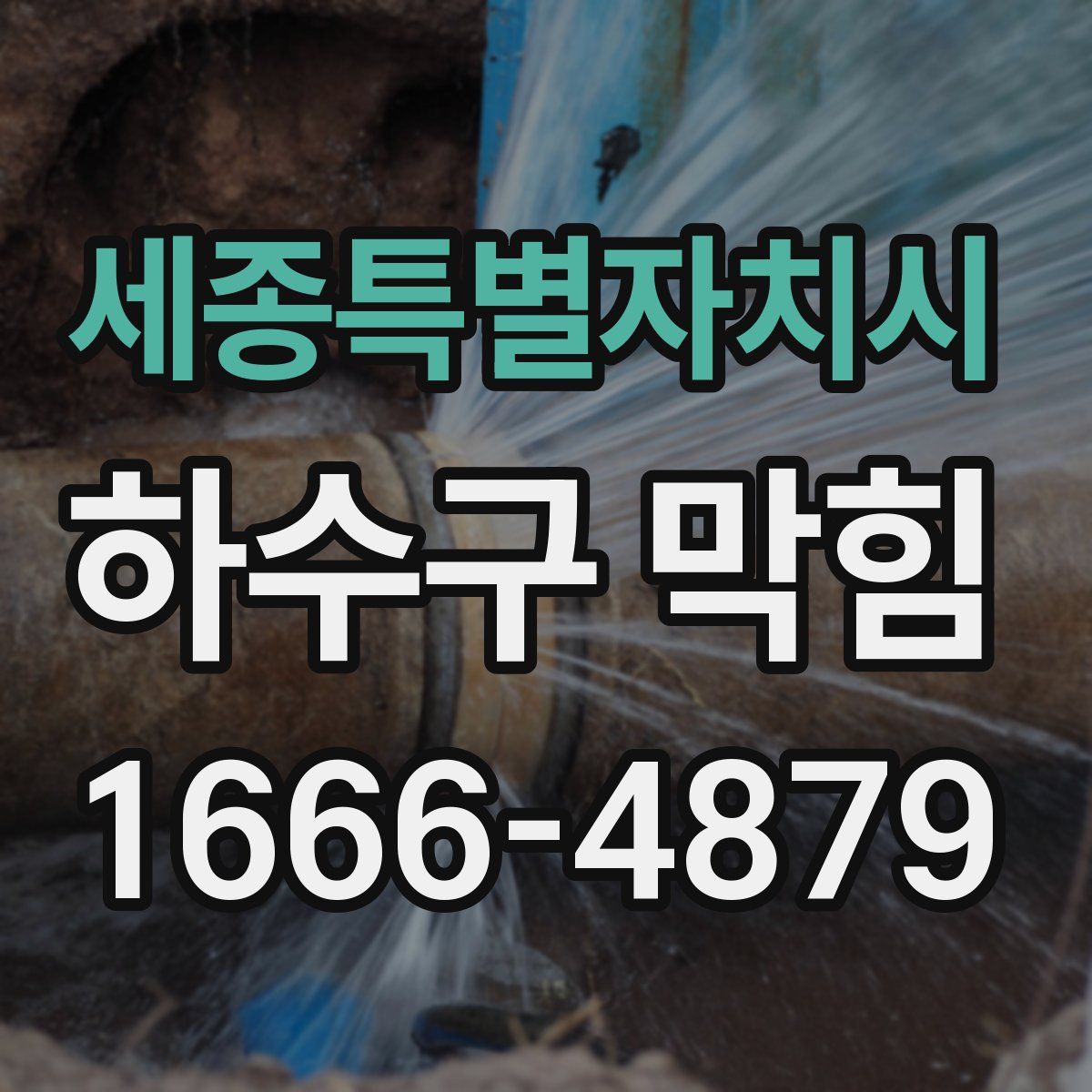 세종특별자치시 하수구 막힘