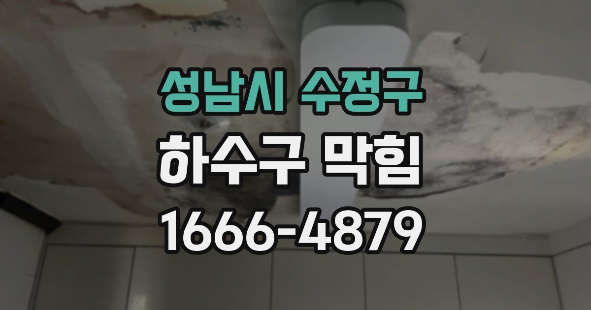 성남시 수정구 하수구 막힘