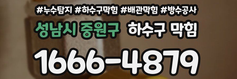 성남시 중원구 하수구 막힘