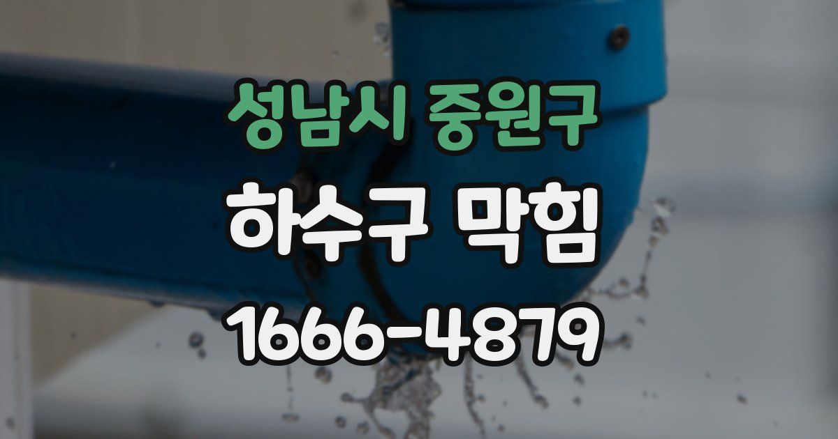 성남시 중원구 하수구 막힘