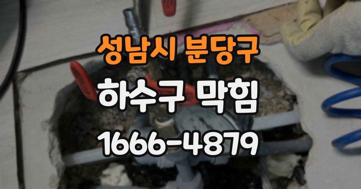 성남시 분당구 하수구 막힘