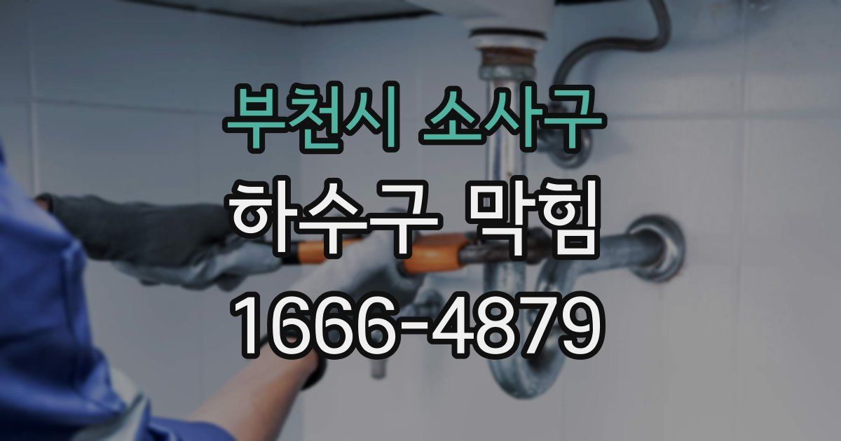 부천시 소사구 하수구 막힘