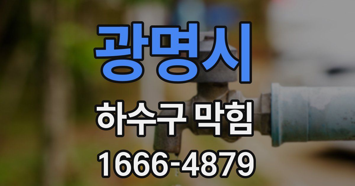 광명시 하수구 막힘