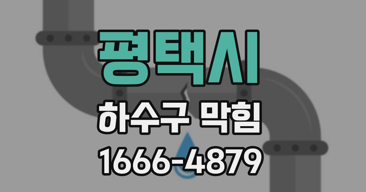 평택시 하수구 막힘