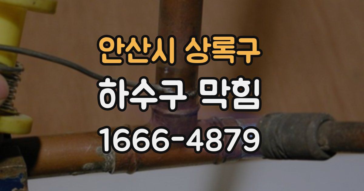 안산시 상록구 하수구 막힘