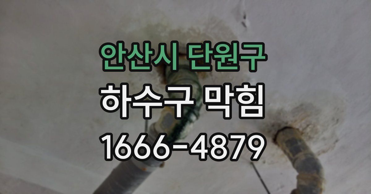 안산시 단원구 하수구 막힘