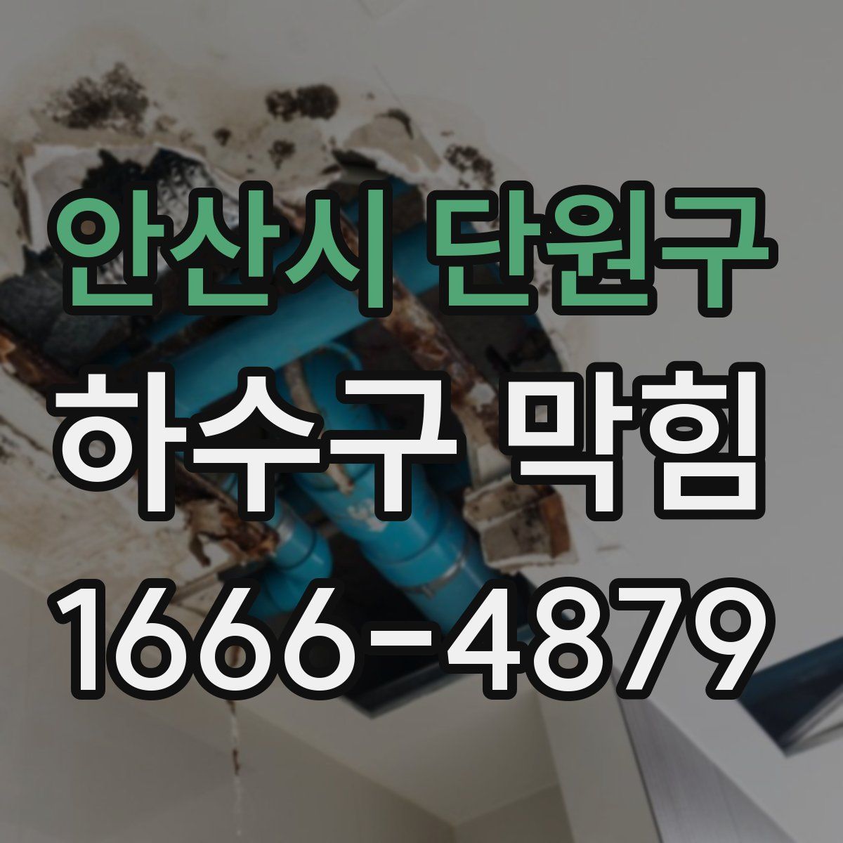 안산시 단원구 하수구 막힘