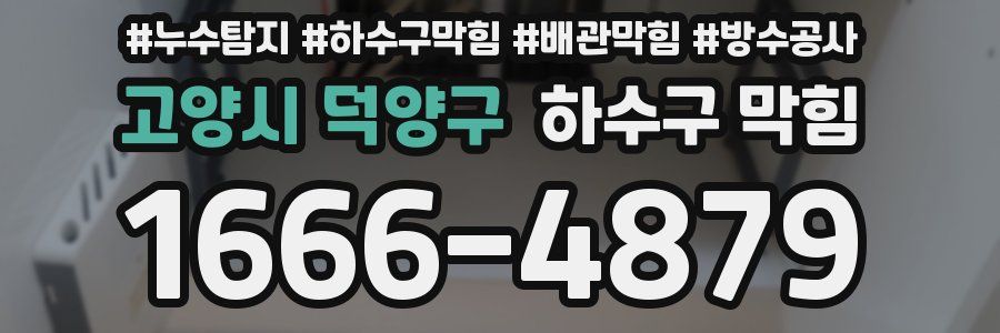 고양시 덕양구 하수구 막힘