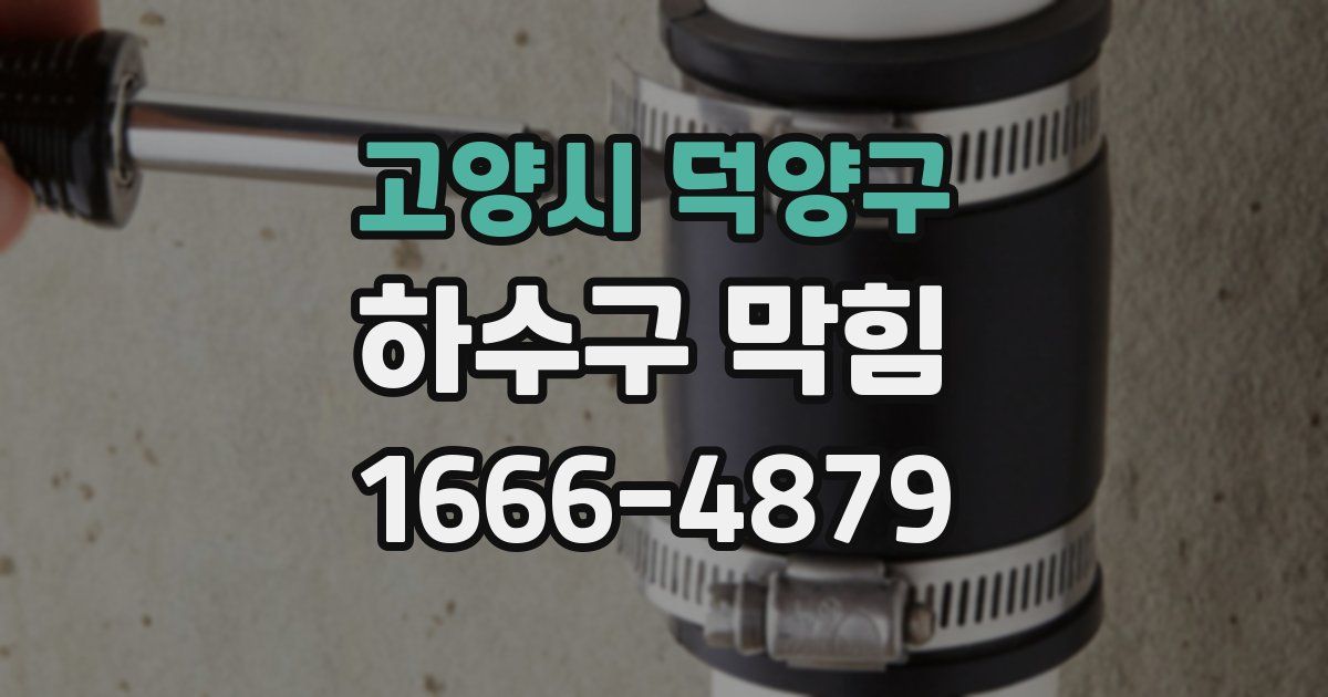 고양시 덕양구 하수구 막힘
