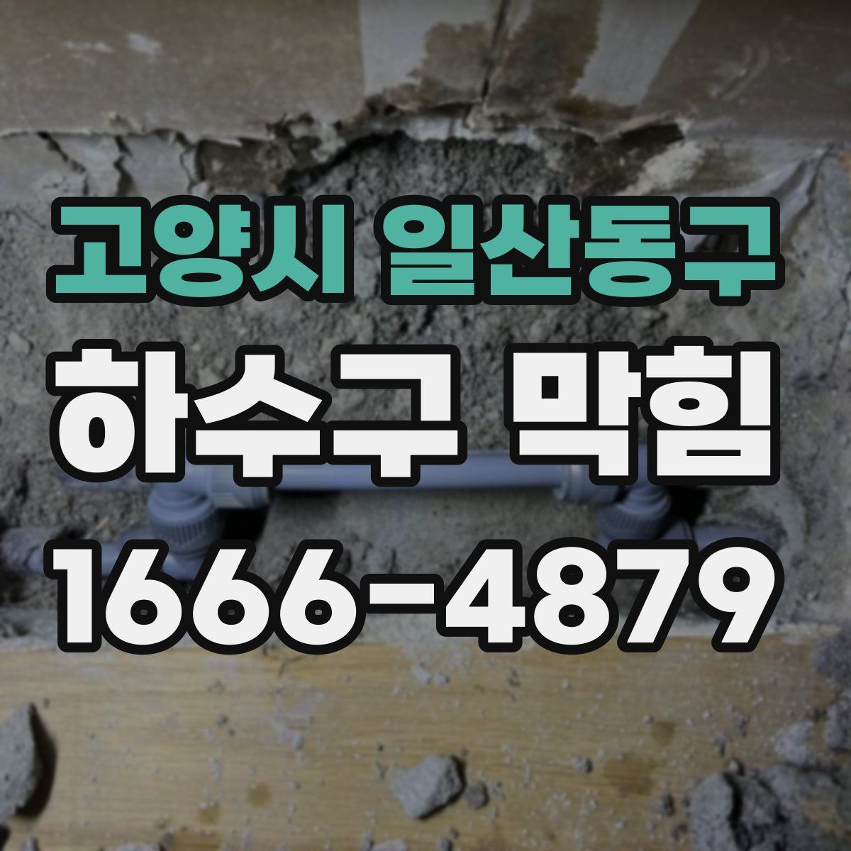 고양시 일산동구 하수구 막힘