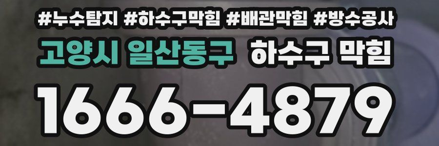 고양시 일산동구 하수구 막힘