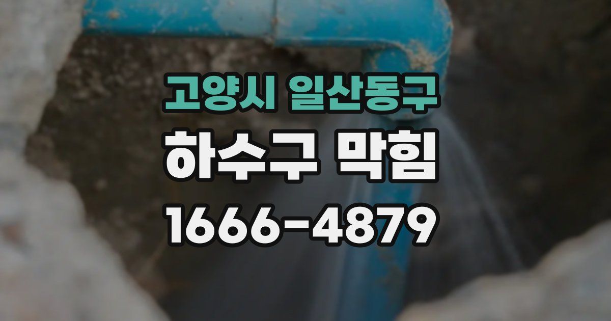 고양시 일산동구 하수구 막힘