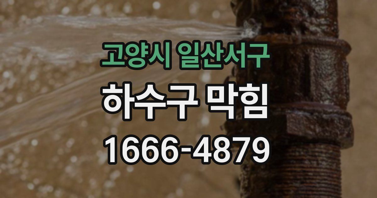 고양시 일산서구 하수구 막힘