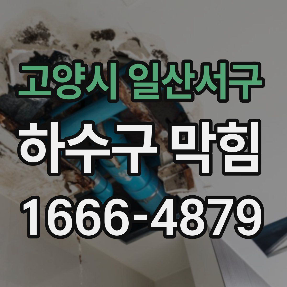 고양시 일산서구 하수구 막힘