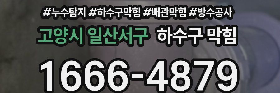고양시 일산서구 하수구 막힘