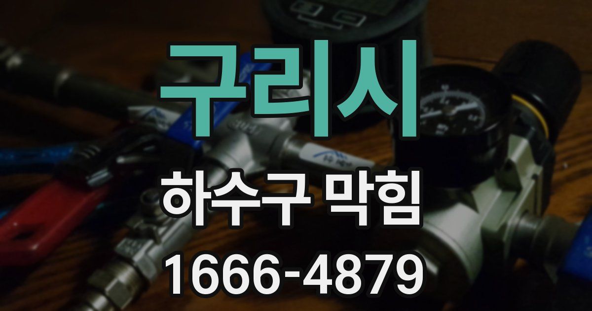 구리시 하수구 막힘