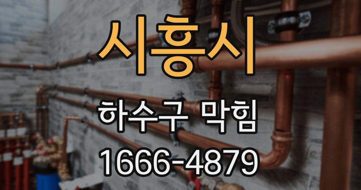 시흥시 하수구 막힘
