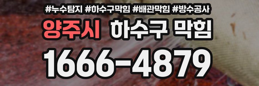 양주시 하수구 막힘