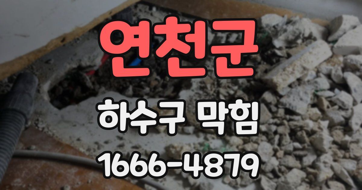 연천군 하수구 막힘