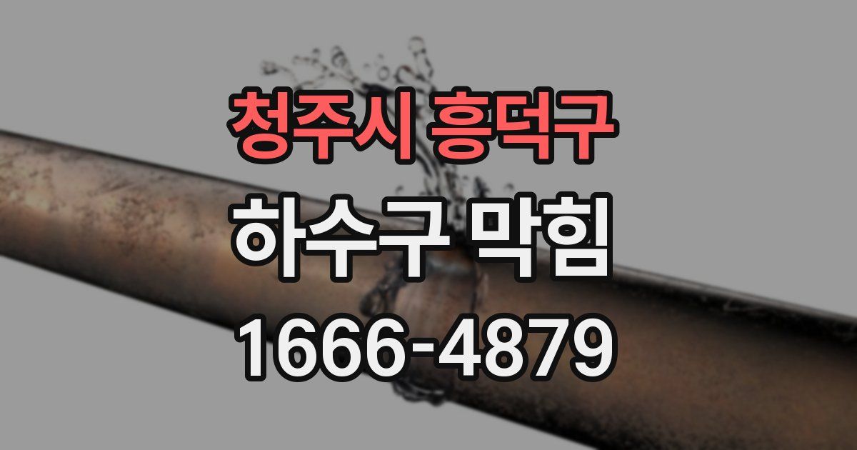 청주시 흥덕구 하수구 막힘
