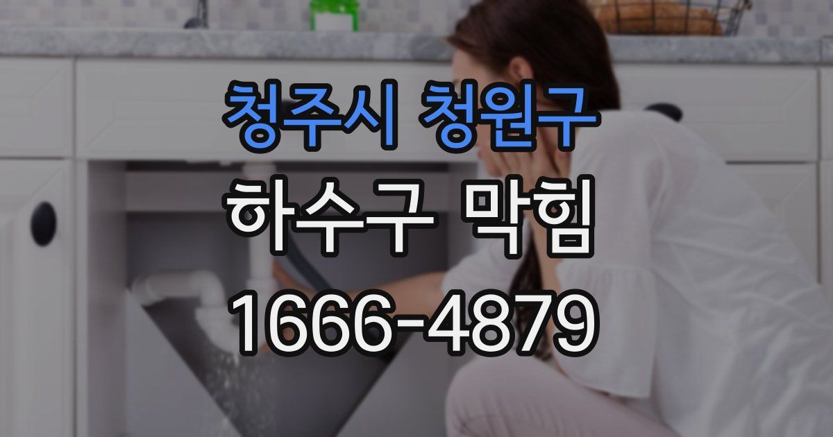 청주시 청원구 하수구 막힘