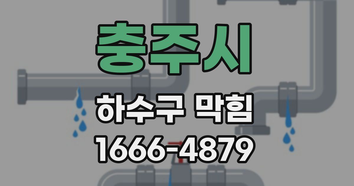 충주시 하수구 막힘
