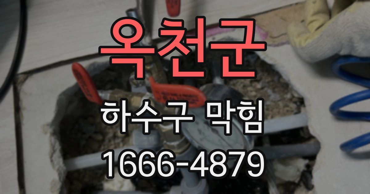 옥천군 하수구 막힘