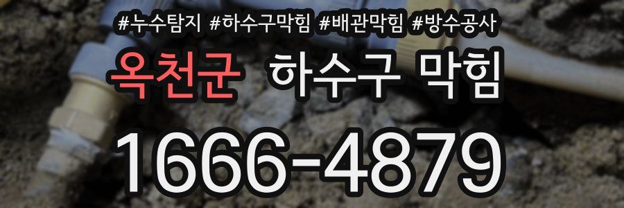 옥천군 하수구 막힘