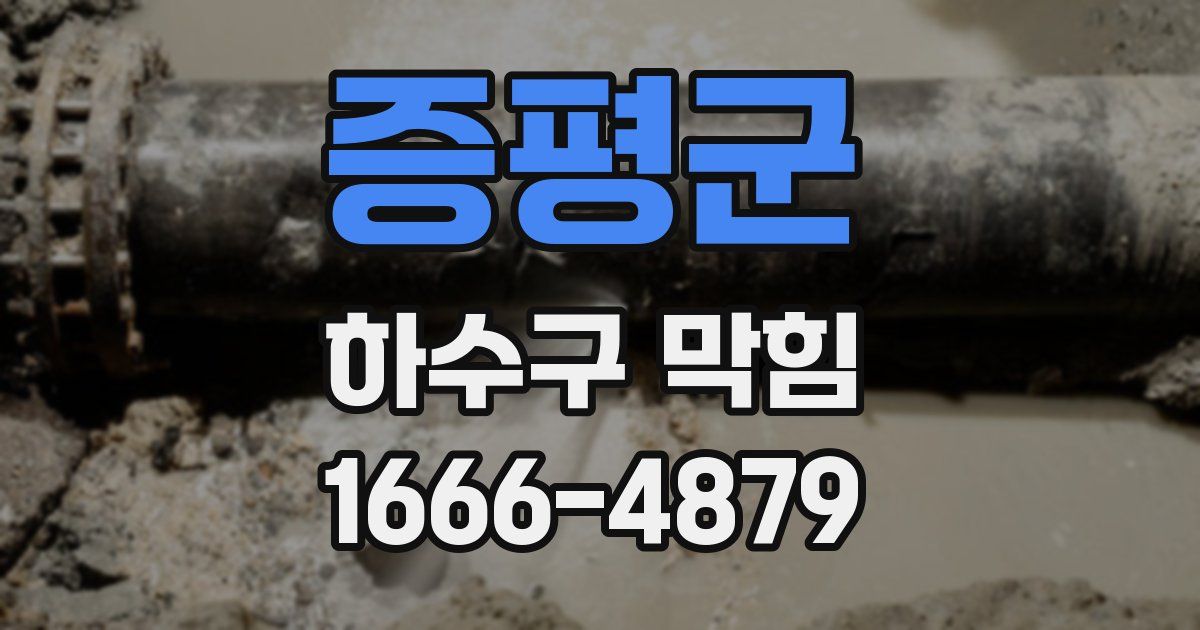 증평군 하수구 막힘